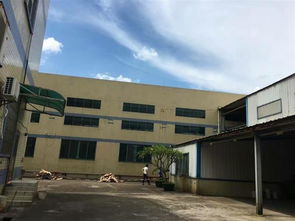 韶关市工业厂房验厂检测鉴定报告办理指南及行业动态